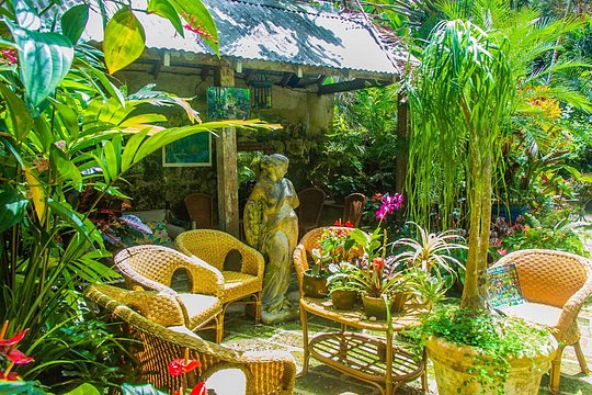 Barbados Botanical Tour — photograph 5