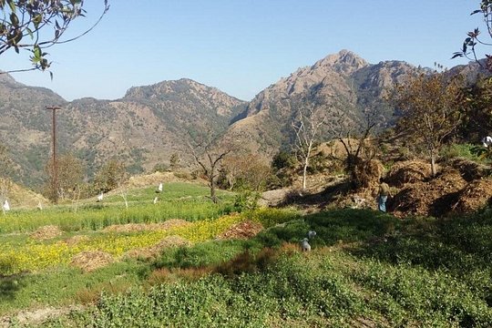 Ginger Valley Village Trek — billede 2