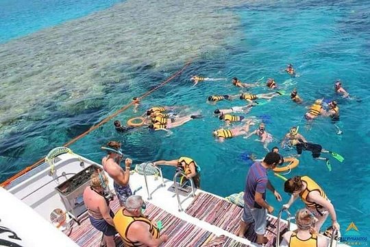 Diving Trip In El Fanara Beach — photograph 4