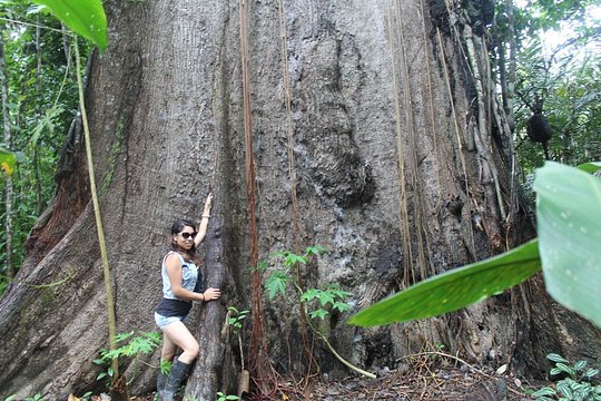 Amazon River Expeditions with Guide for 5 Days 4 Night Ecolodge — photograph 2