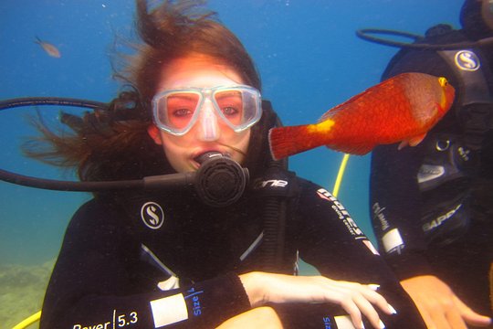 Side: Scuba Diving Experience — bilde 2
