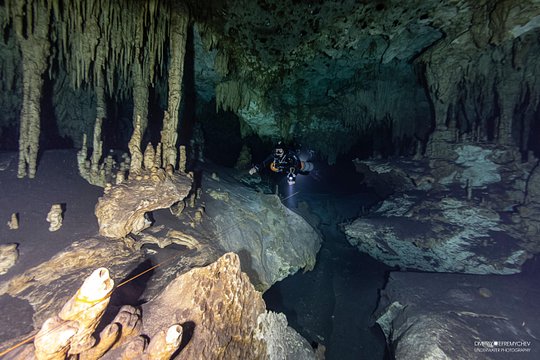 Diving package Cenotes exploration — photograph 2