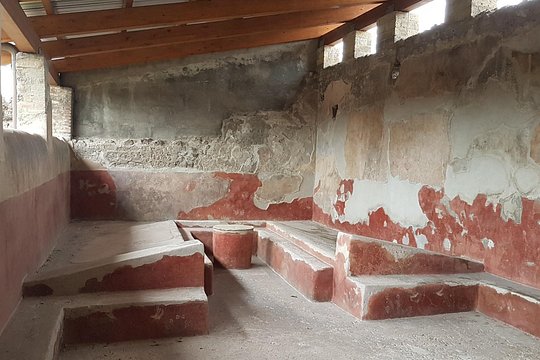 Herculaneum Walking Tour: Premium Small Group Experience — foto 5