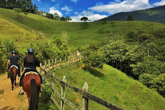 Authentic Colombian Horseback Ride — photograph 4