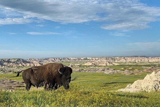 Premier Private Badlands Day Tour — photograph 2