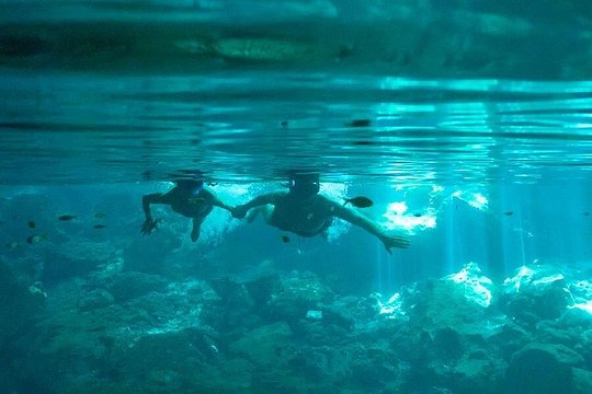 Cenotes and Snorkel — photograph 4