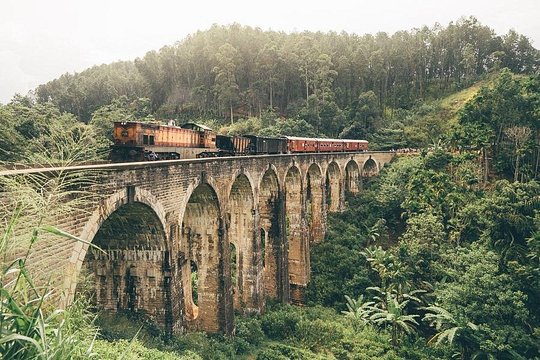 Discover Serendib by Rail (8 Days) — photograph 5