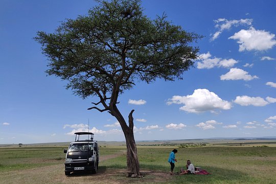 Maasai Mara Safari!! — photograph 4