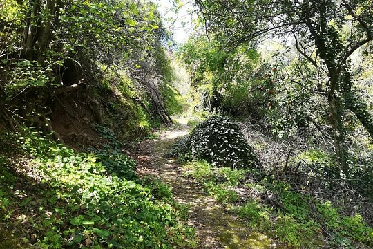 Hiking in Kosmas Arcadia — photograph 5