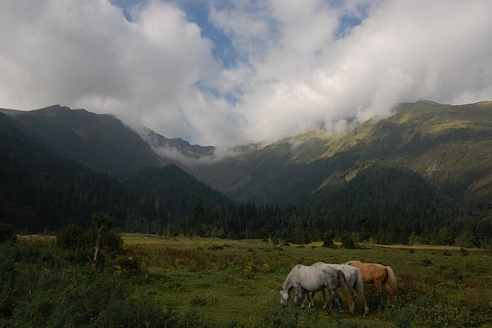 Dhorpatan Private Guided Trek — photograph 3