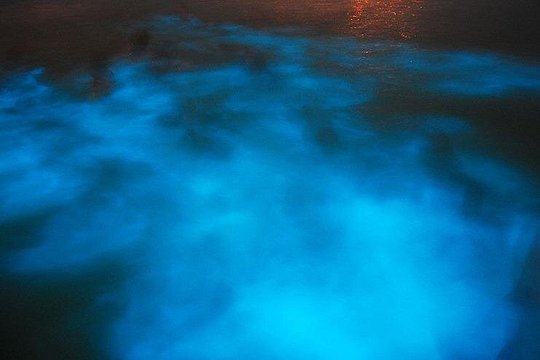 Blue Hole/ Dunn's River Falls & Luminous Lagoon (Glistening water) 3 in 1 combo — photograph 4