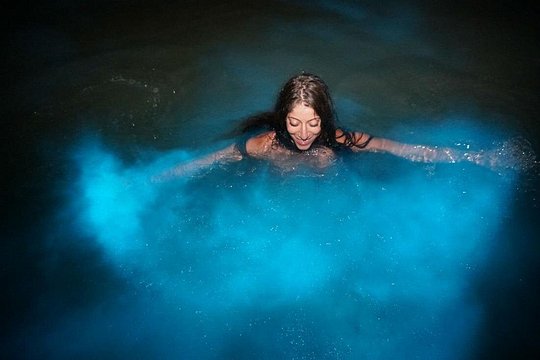 Blue Hole/ Dunn's River Falls & Luminous Lagoon (Glistening water) 3 in 1 combo — photograph 5