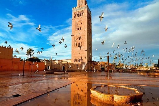Marrakech Sightseeing Tour — photograph 4