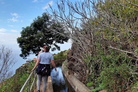 Madeira: Private Guided Levada do Norte Walk — photograph 3