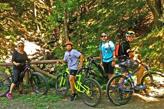 Mountain biking in the forest — photograph 3