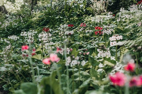 The Bloedel Reserve & Sightseeing — photograph 4