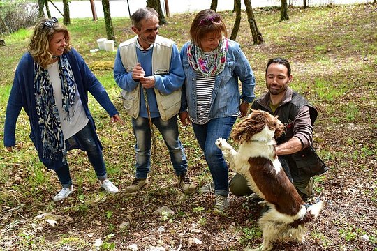 Truffle Hunt & Bio Lunch in Assisi — Foto 2