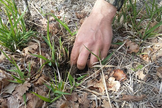 Truffle Hunt & Bio Lunch in Assisi — Foto 3