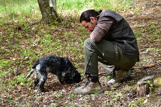 Truffle Hunt & Bio Lunch in Assisi — Foto 4