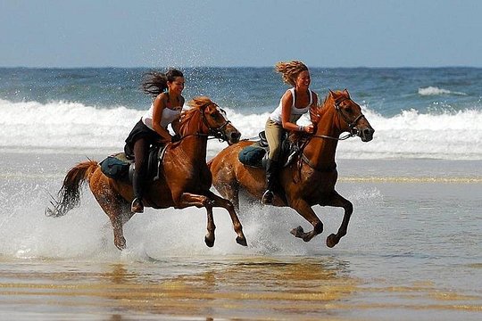 Horse Riding Agadir — photograph 2