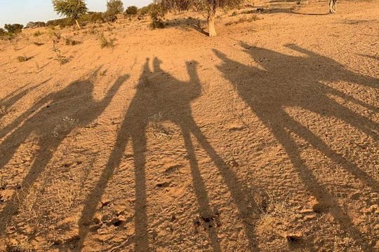 Experience Camel Safari With Folk Dance & Dinner — Foto 2
