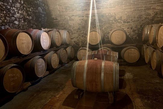 Private Chianti Wine Tour — photograph 4