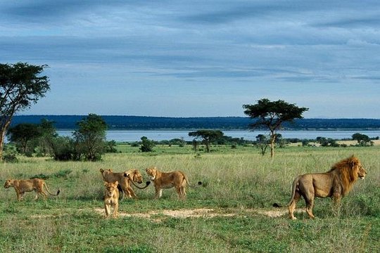 3 Days Murchison Falls - Budget — foto 2