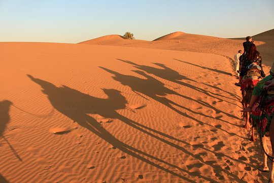 Sunrise Desert Safari — Foto 3