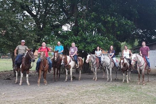 Jacó beach horseback riding experience — photograph 4