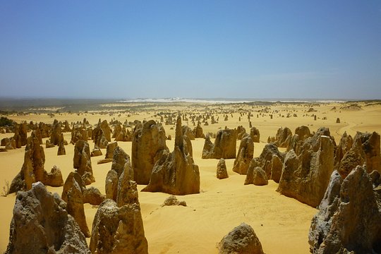 Pinnacles Desert Private Tour — foto 4