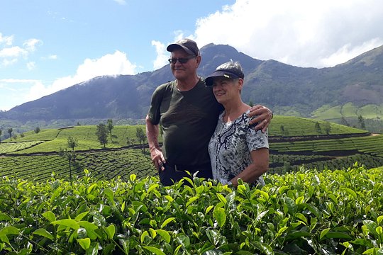 Tea Farm Tourism — photograph 2