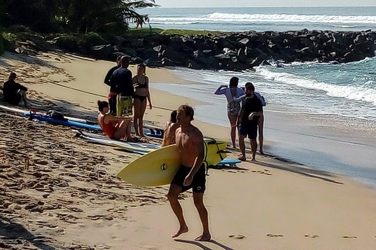 Surf Spots Tour Include Wildlife and Sightseeing — billede 3