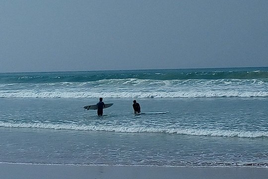 Surf Spots Tour Include Wildlife and Sightseeing — billede 2