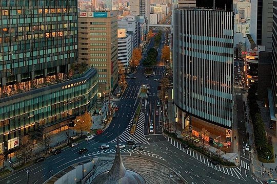 Nagoya Private Customizable Full Day Tour — photograph 2