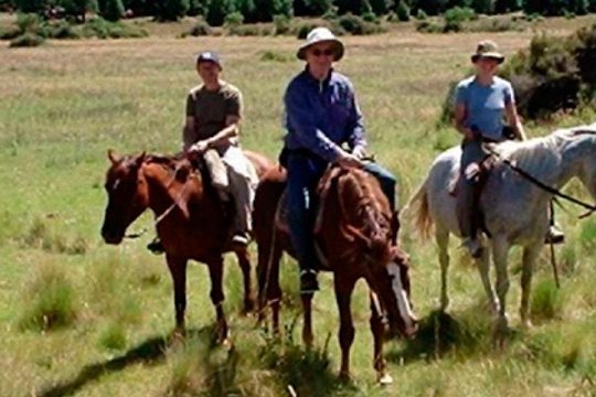 Haneck horseback riding — photograph 4