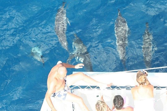 Sailing Catamaran Cruises — billede 4