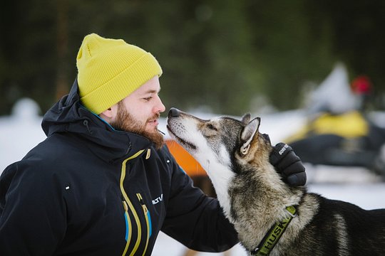 Dogsled Adventure Kiruna — photograph 5
