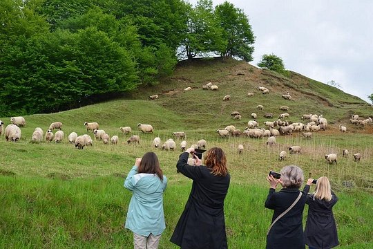 Transylvanian week — 写真2