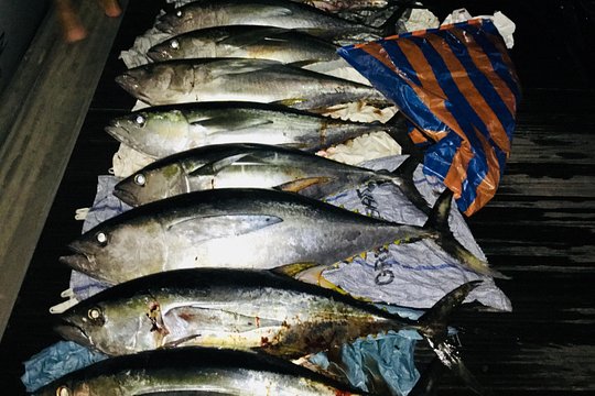 Seychelles Fishing — photograph 5