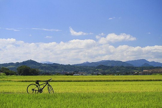 Walking & cycling — Foto 2