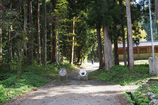 Walking & cycling — Foto 4