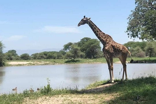 Lake Nakuru Express — صورة 4
