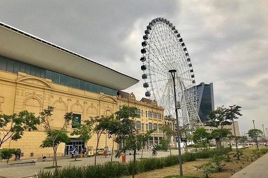 Ferris Wheel Panoramic View & Olympic Boulevard with Transfer — Foto 4