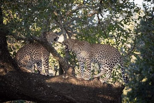 Joining Tanzania Safaris groups — photograph 5