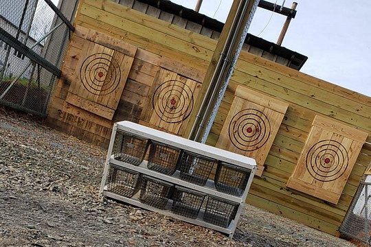 Axe Throwing Training — photograph 5