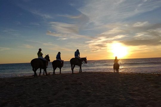Stunning Sundown Beach Ride on horseback! MINIMUM 2 PARTICIPANTS — Foto 4