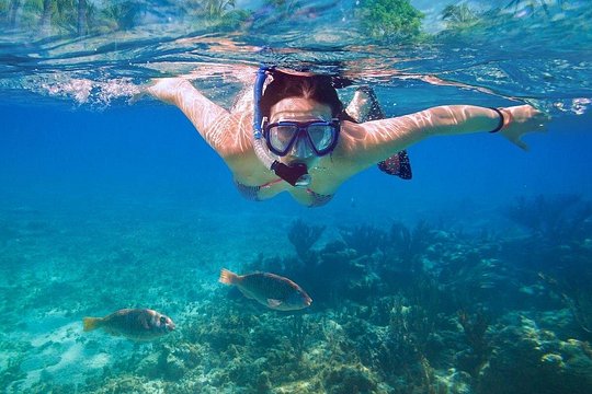 Basic Snorkel Experience at Cancun! Round Transportation Included — photograph 2