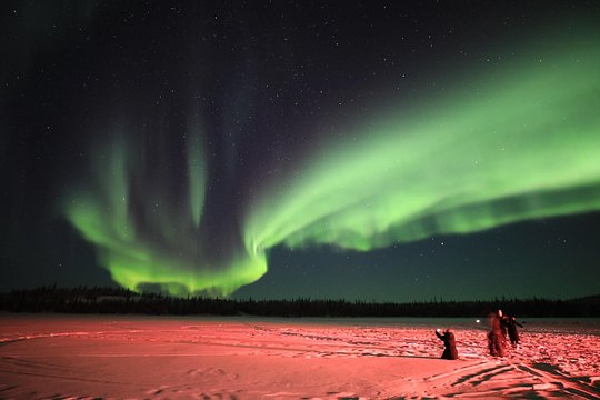 Yellowknife Tours - Aurora by bus — photograph 3