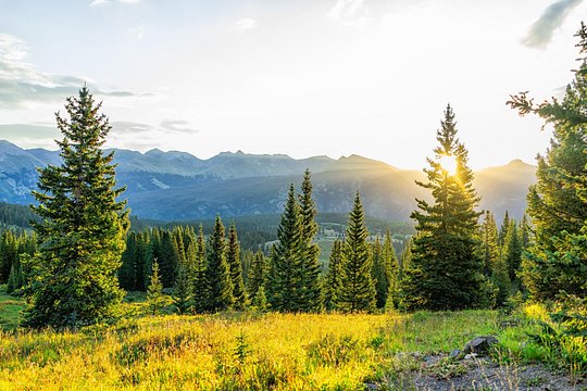 Private - Mount Falcon Park Hike from Denver — photograph 3