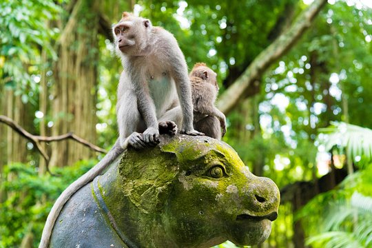 Pick 5 Destinations: Customized Ubud Tour — Foto 2